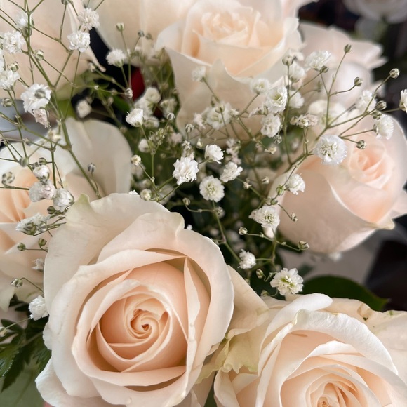 Meet your Posher, Ash - Picture 2 of 2